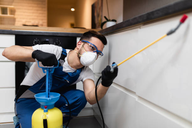 Best Mosquito Control Services  in Hermiston, OR