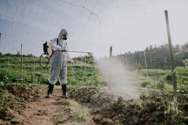 Best Pest Prevention Services  in Hermiston, OR