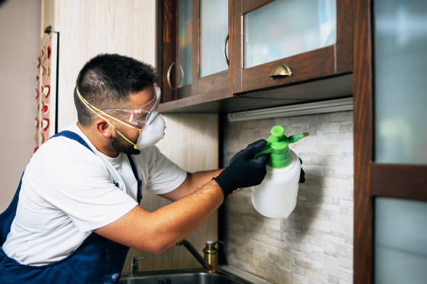 Best Best Pest Control Companies  in Hermiston, OR