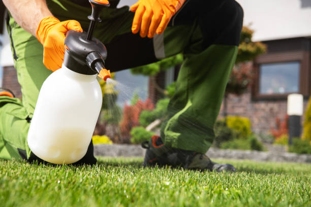 Best Bed Bug Extermination  in Hermiston, OR