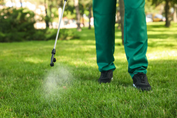 Best Emergency Pest Control  in Hermiston, OR