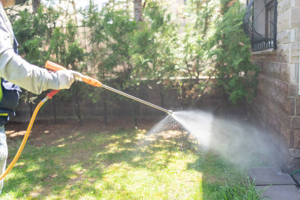 Best Pest Control Treatment  in Hermiston, OR