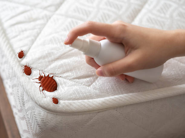 Flea Control Services in Hermiston, OR
