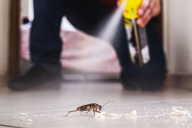 Best Exterminator Services  in Hermiston, OR