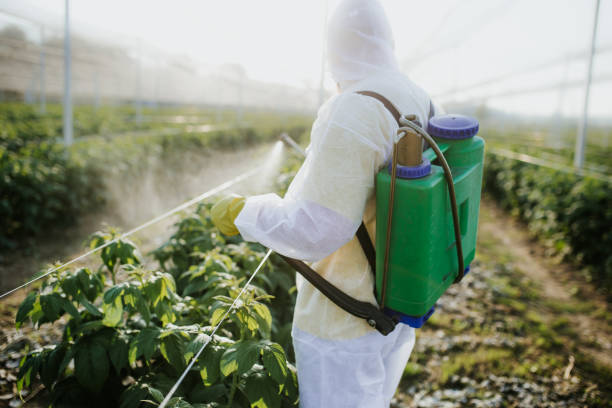 Best Pest Control for Homes  in Hermiston, OR